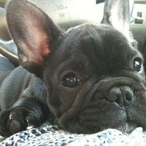 Meet your Posher, Tania